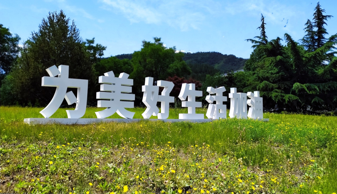 微信图片_20250611092517.png